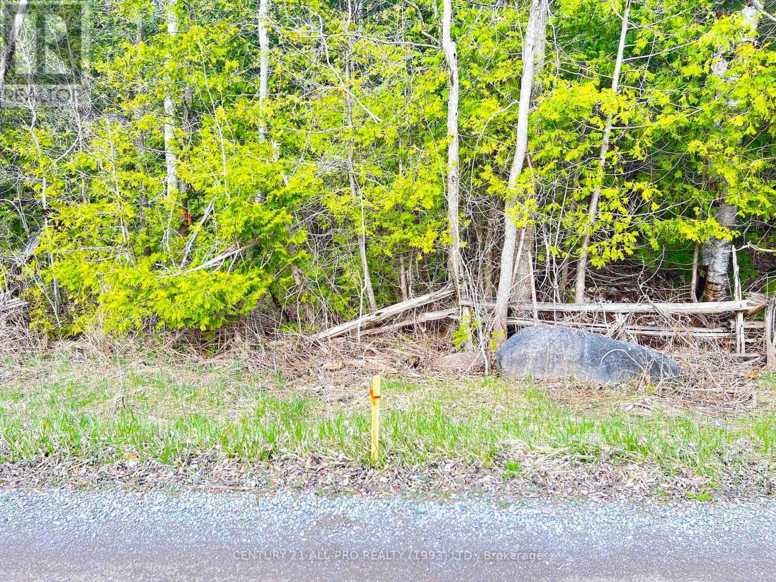 Lot 100 Baxter Road, Trent Hills, Ontario  K0L 1Y0 - Photo 7 - X11960378