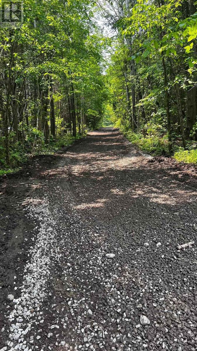 Lot 100 Baxter Road, Trent Hills, Ontario  K0L 1Y0 - Photo 9 - X11960378