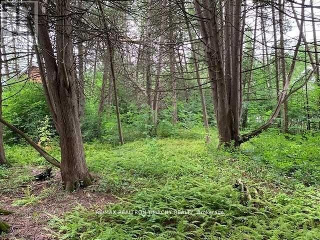 Lot 18 Northside Road, Kawartha Lakes, Ontario  K9V 4R5 - Photo 2 - X11967922