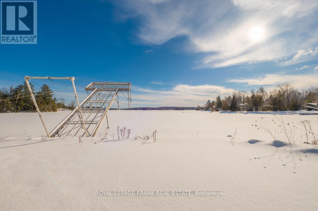 206 Hall Drive, Galway-Cavendish And Harvey, Ontario  K0L 1J0 - Photo 24 - X11971686