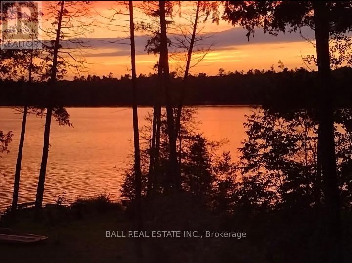 154 Julian Lake Road, North Kawartha, Ontario  K0L 3E0 - Photo 36 - X11982123