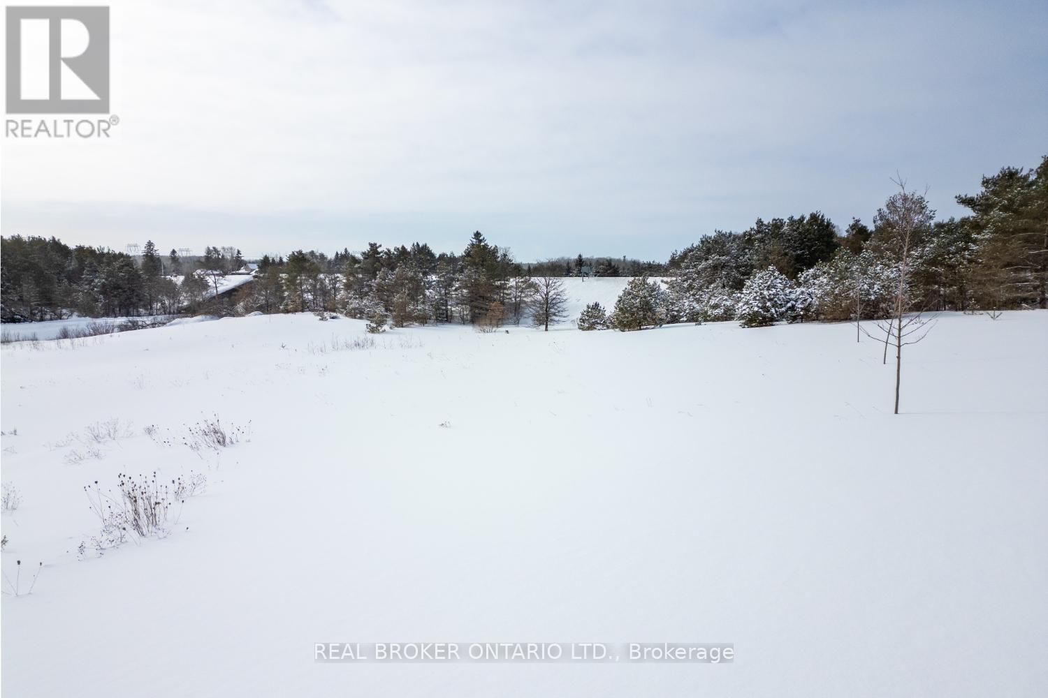 Part Lot 11 Concession 2 Manvers Part 2, Kawartha Lakes (Pontypool), Ontario  L0A 1K0 - Photo 8 - X11983064