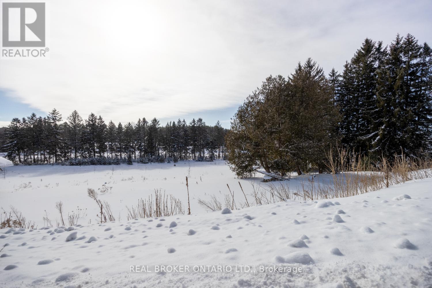 Part Lot 11 Concession 2 Manvers Part 3, Kawartha Lakes (Pontypool), Ontario  L0A 1K0 - Photo 6 - X11983084