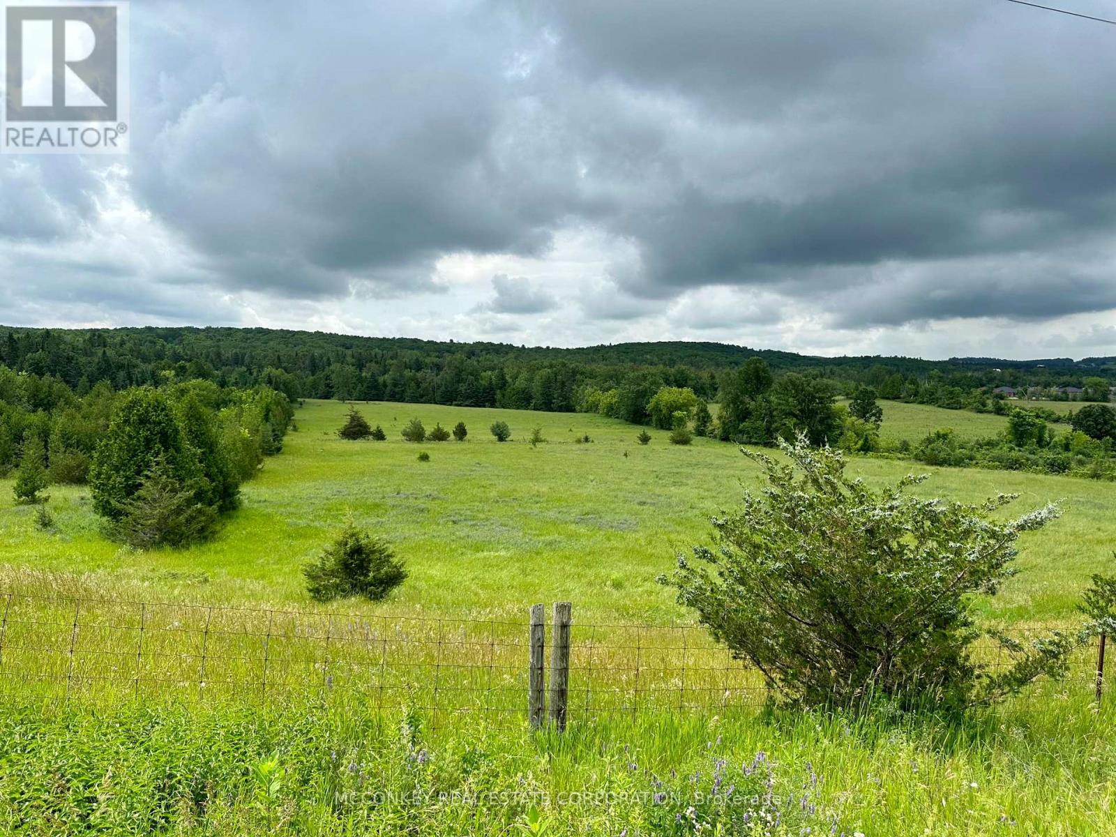 227 Concession Road 13 E, Trent Hills, Ontario  K0L 1Y0 - Photo 26 - X11986860