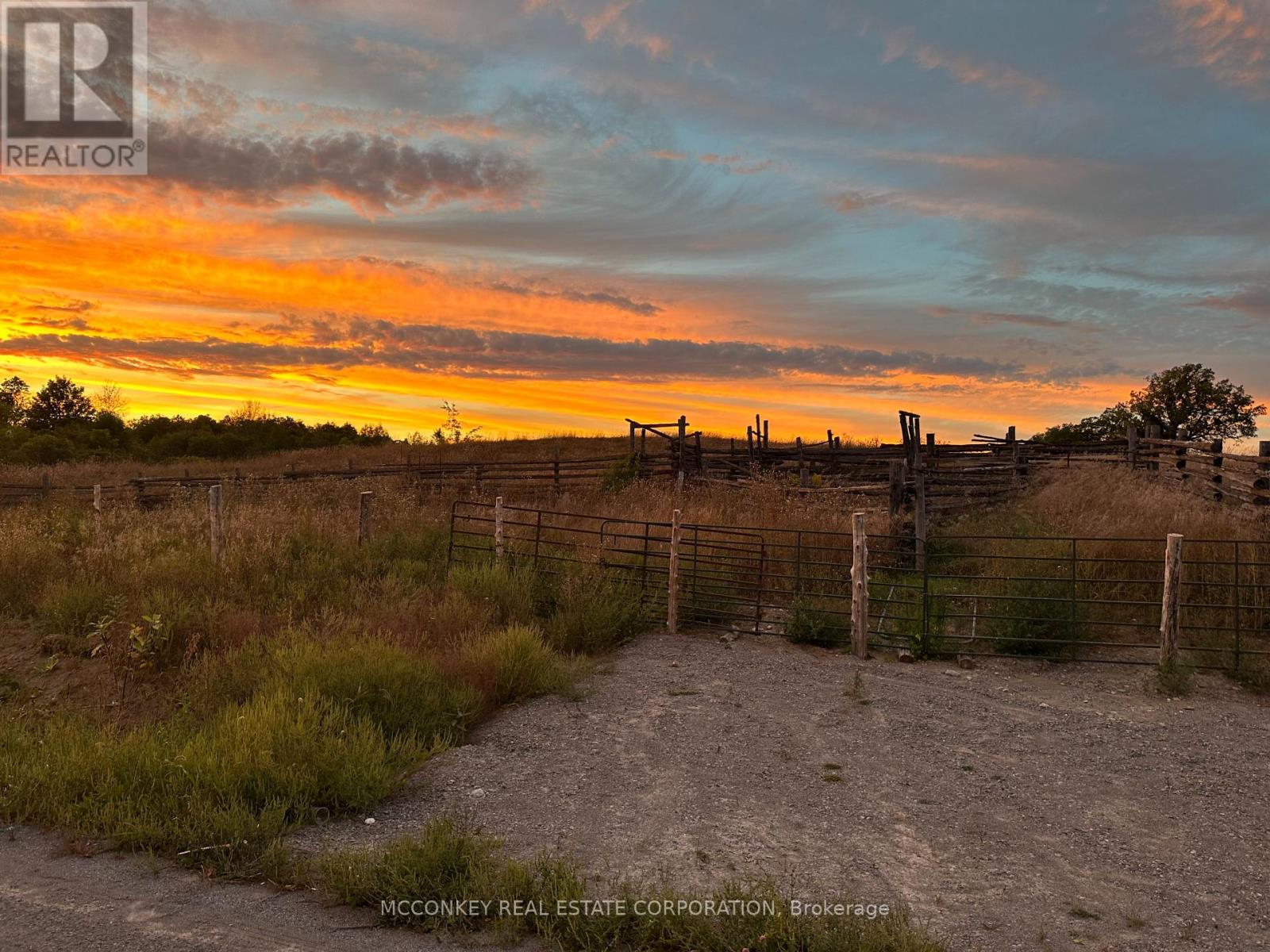 252 Concession Road 13 E, Trent Hills, Ontario  K0L 1Y0 - Photo 8 - X11986870