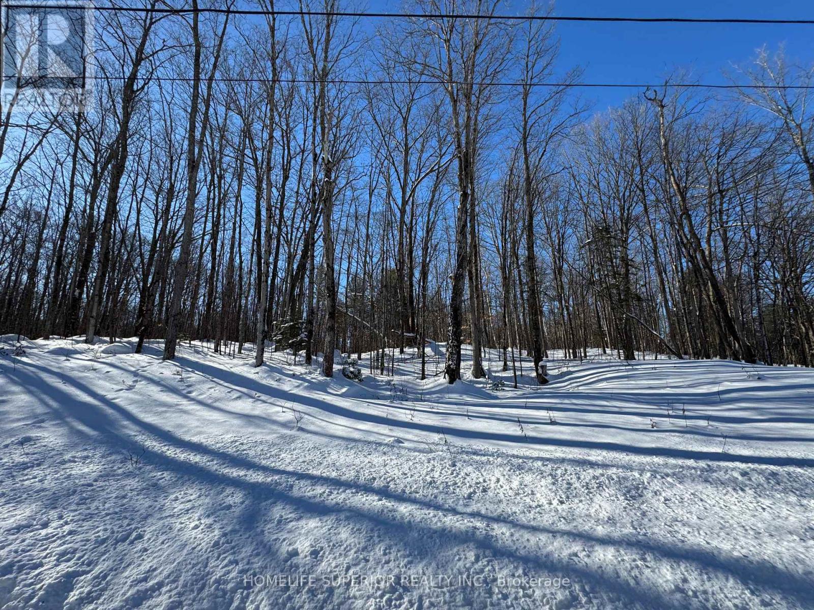 0 N Belmont Conc 10, Havelock-Belmont-Methuen (Havelock), Ontario  K0L 1Z0 - Photo 1 - X11988350