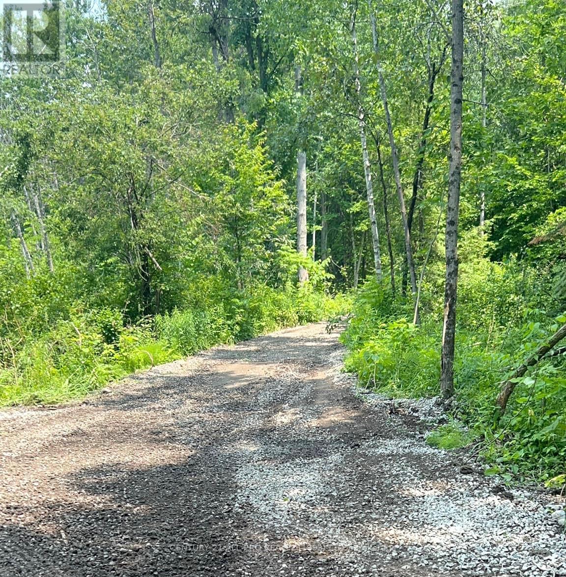 000 Baxter Road, Trent Hills, Ontario  K0L 1Y0 - Photo 6 - X11988459