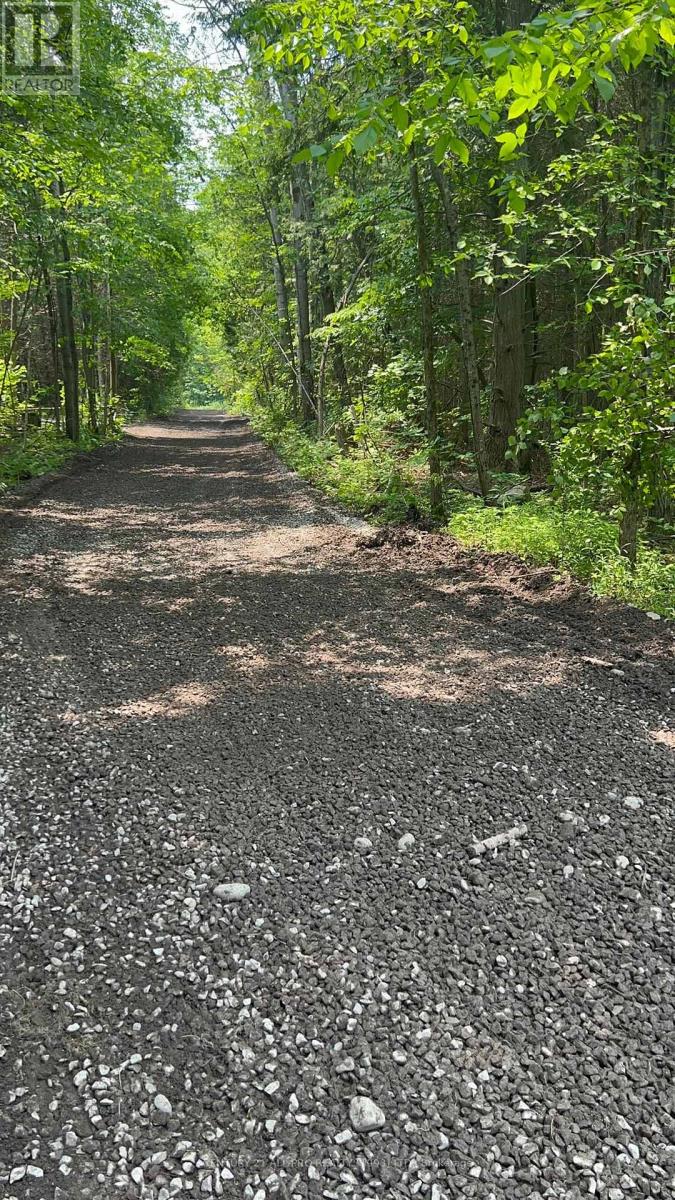 000 Baxter Road, Trent Hills, Ontario  K0L 1Y0 - Photo 8 - X11988459