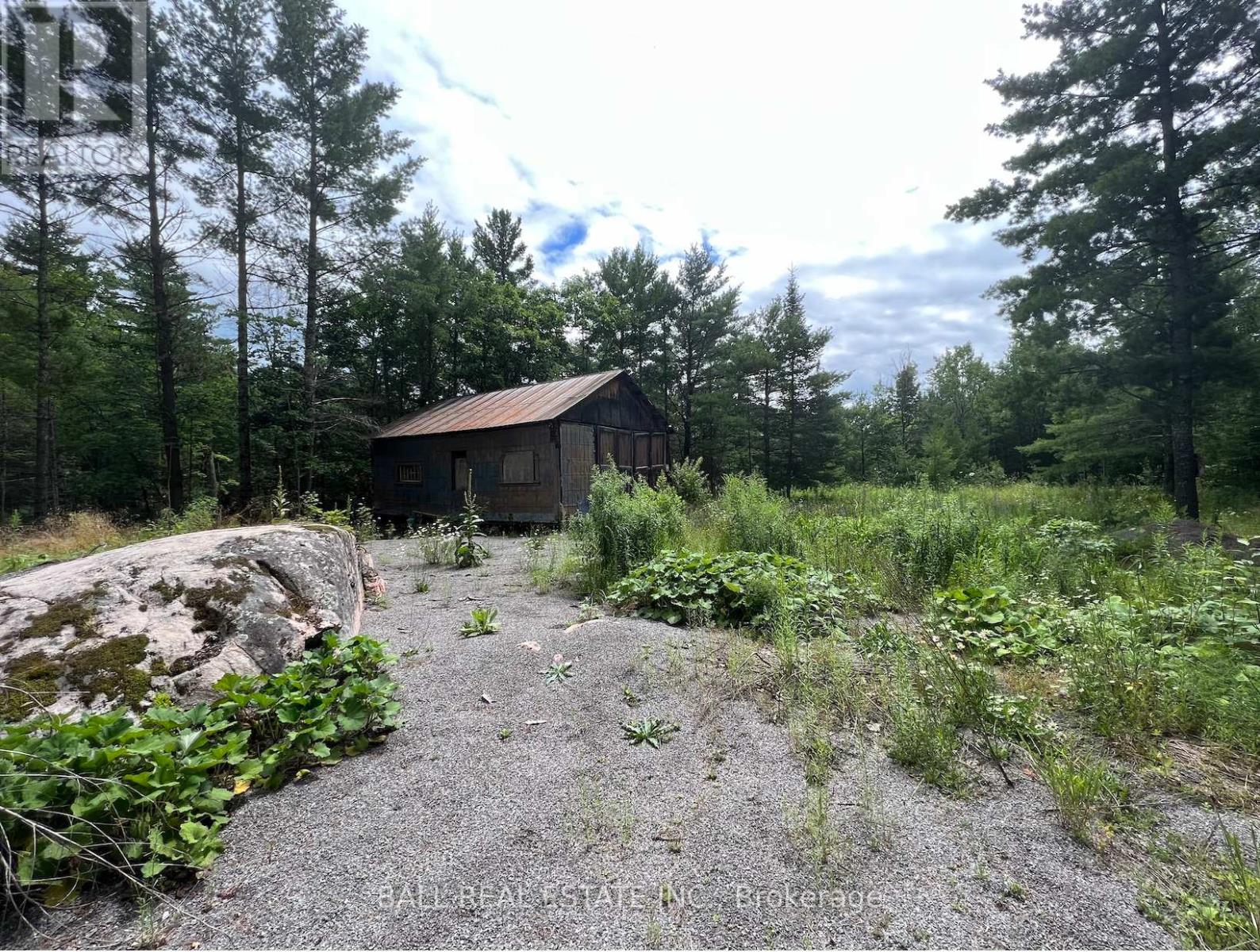 3 Fire Route 81, Galway-Cavendish And Harvey, Ontario  K0L 1J0 - Photo 10 - X11989938