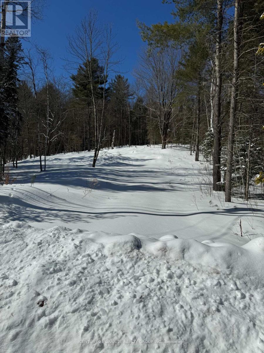 143 Maxwell Settlement Road, Bancroft, Ontario  K0L 1C0 - Photo 10 - X11997221