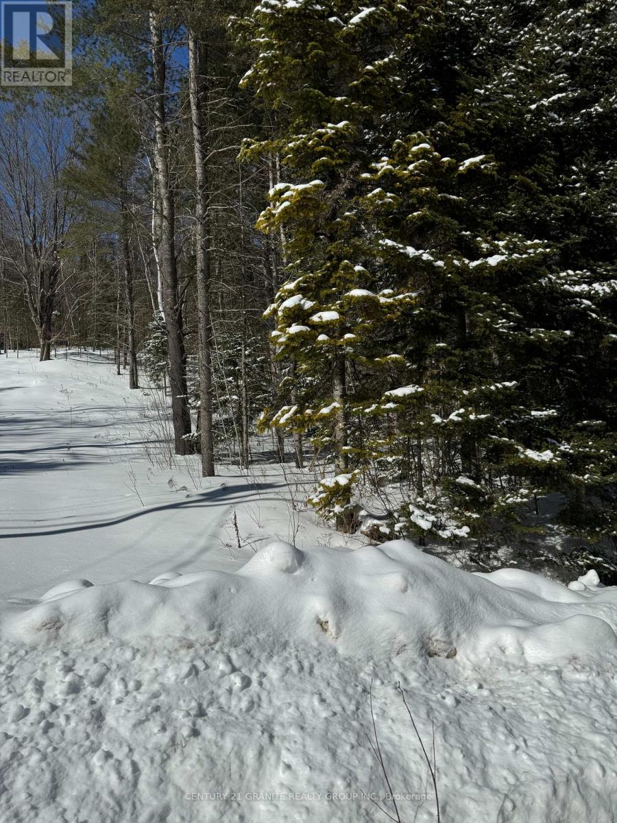 143 Maxwell Settlement Road, Bancroft, Ontario  K0L 1C0 - Photo 11 - X11997221