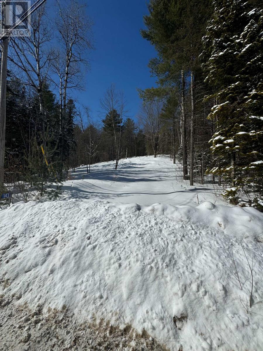 143 Maxwell Settlement Road, Bancroft, Ontario  K0L 1C0 - Photo 14 - X11997221