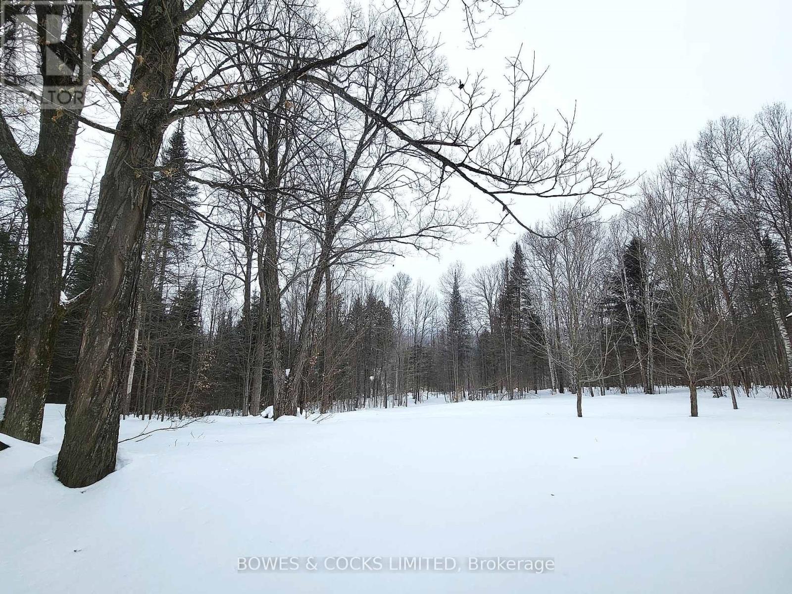 109 Quarry Road, Bancroft, Ontario  K0L 1C0 - Photo 5 - X12002609