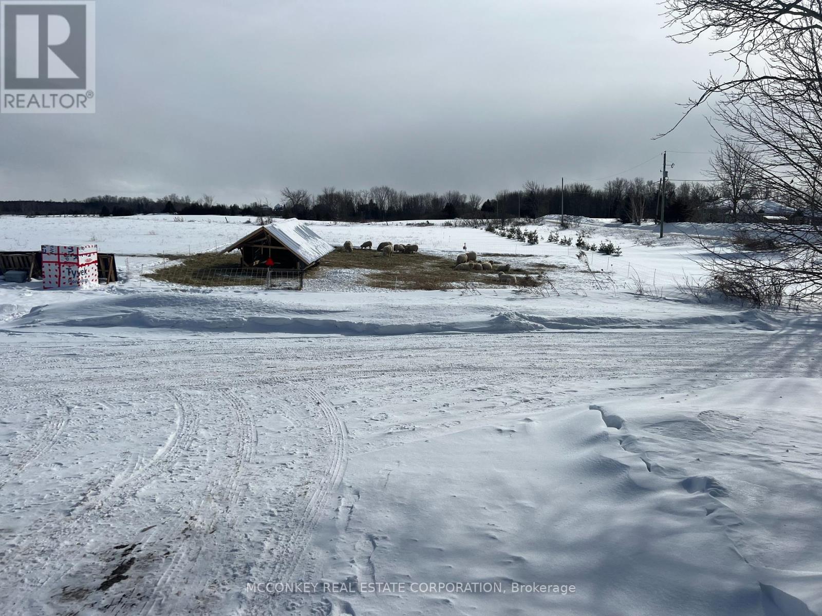 2385 Northey's Road, Smith-Ennismore-Lakefield (Lakefield), Ontario  K0L 2H0 - Photo 49 - X12004030