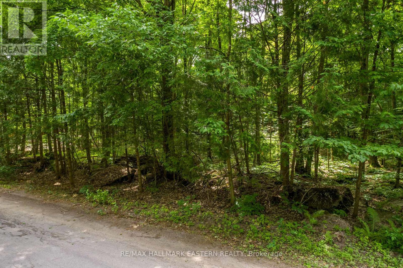 0 Teds Lane, Galway-Cavendish And Harvey, Ontario  K0L 1J0 - Photo 11 - X12008415