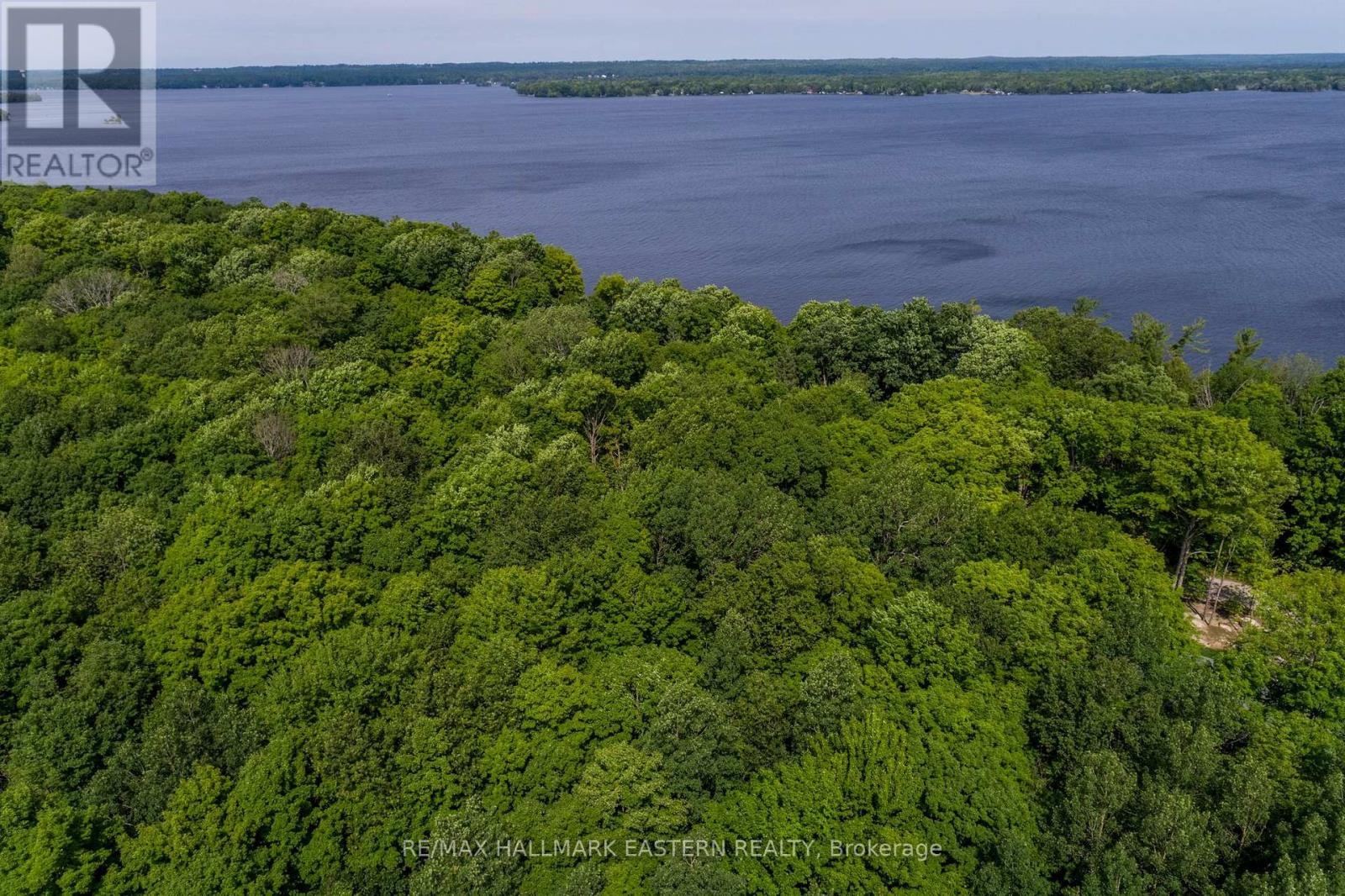 0 Teds Lane, Galway-Cavendish And Harvey, Ontario  K0L 1J0 - Photo 25 - X12008415