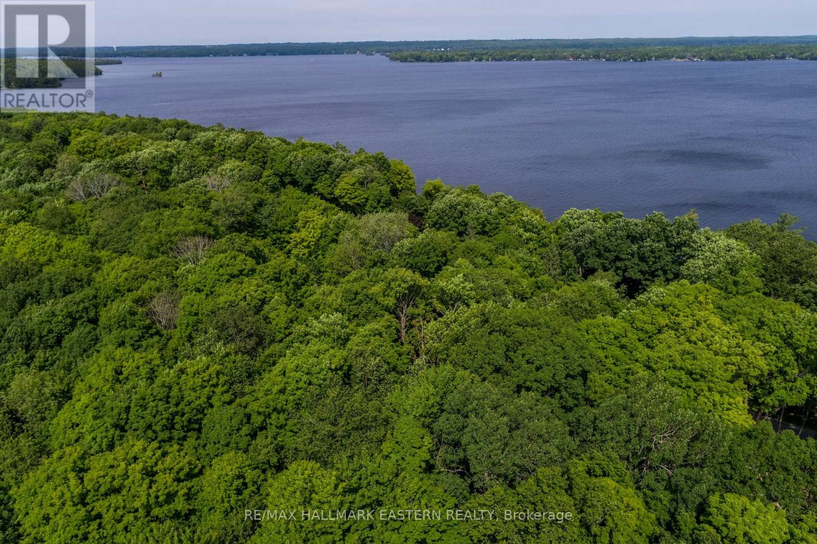 0 Teds Lane, Galway-Cavendish And Harvey, Ontario  K0L 1J0 - Photo 26 - X12008415