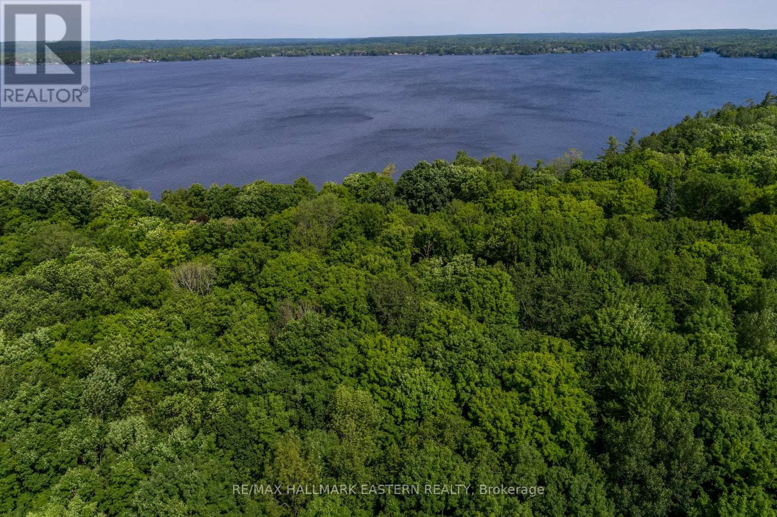 0 Teds Lane, Galway-Cavendish And Harvey, Ontario  K0L 1J0 - Photo 27 - X12008415