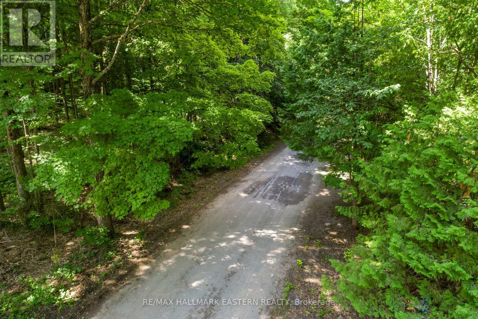 0 Teds Lane, Galway-Cavendish And Harvey, Ontario  K0L 1J0 - Photo 29 - X12008415