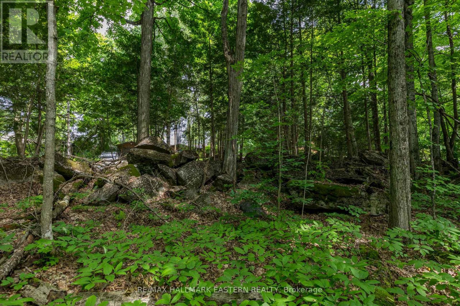 0 Teds Lane, Galway-Cavendish And Harvey, Ontario  K0L 1J0 - Photo 39 - X12008415