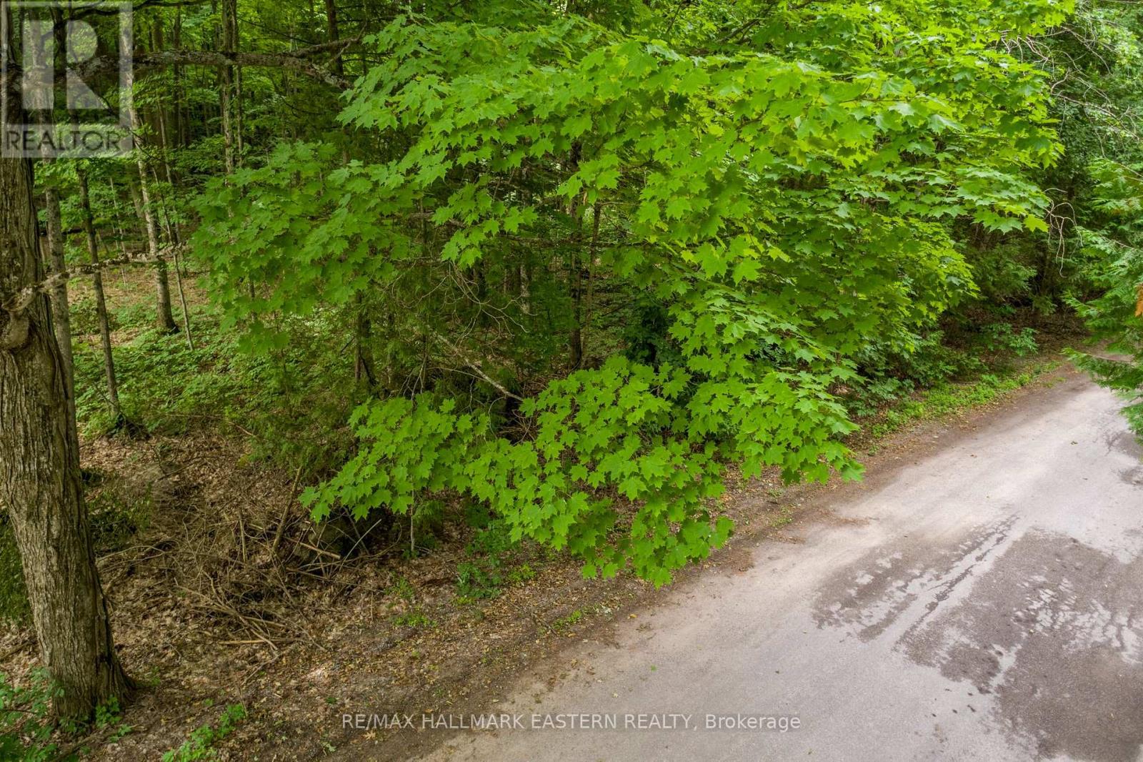 0 Teds Lane, Galway-Cavendish And Harvey, Ontario  K0L 1J0 - Photo 4 - X12008415