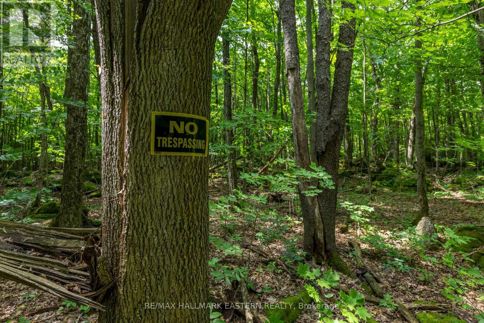 0 Teds Lane, Galway-Cavendish And Harvey, Ontario  K0L 1J0 - Photo 40 - X12008415