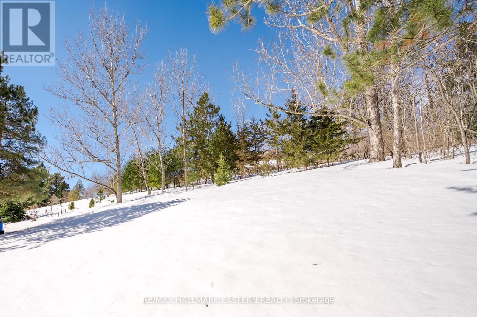 145 Park Lane, Asphodel-Norwood, Ontario  K0L 1Y0 - Photo 29 - X12010693