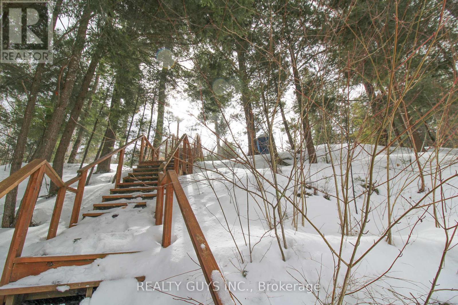 959 Beaver Lake Road, Trent Lakes, Ontario  K0L 1J0 - Photo 11 - X12010886