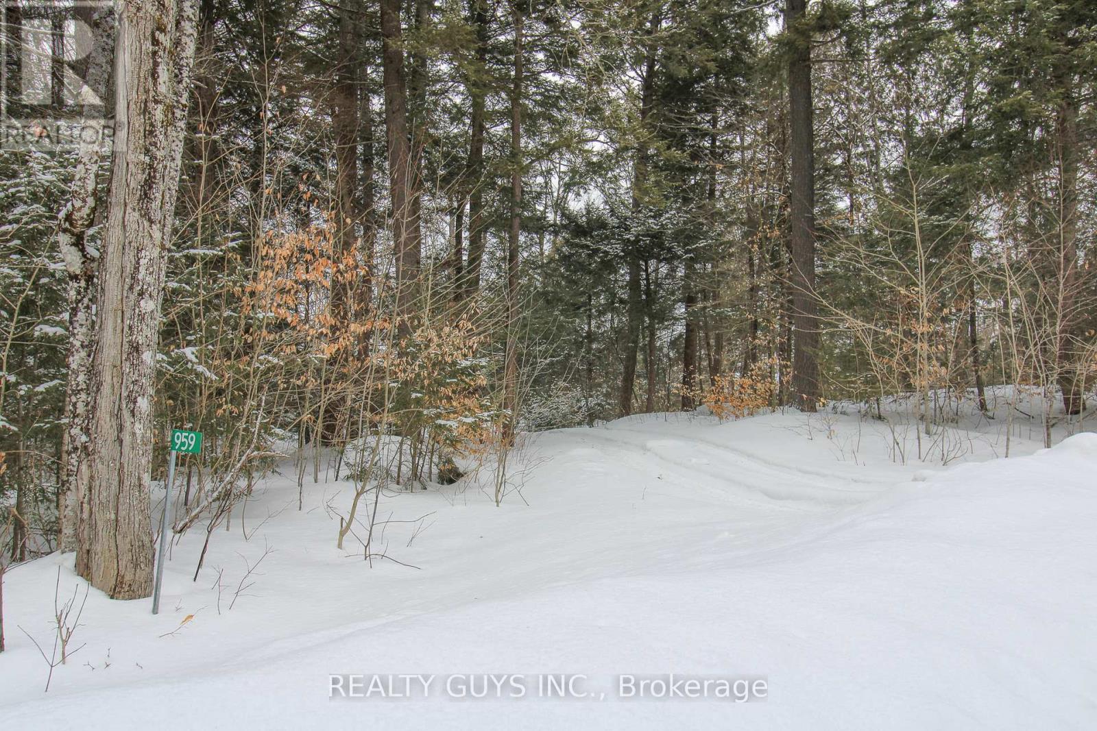 959 Beaver Lake Road, Trent Lakes, Ontario  K0L 1J0 - Photo 13 - X12010886