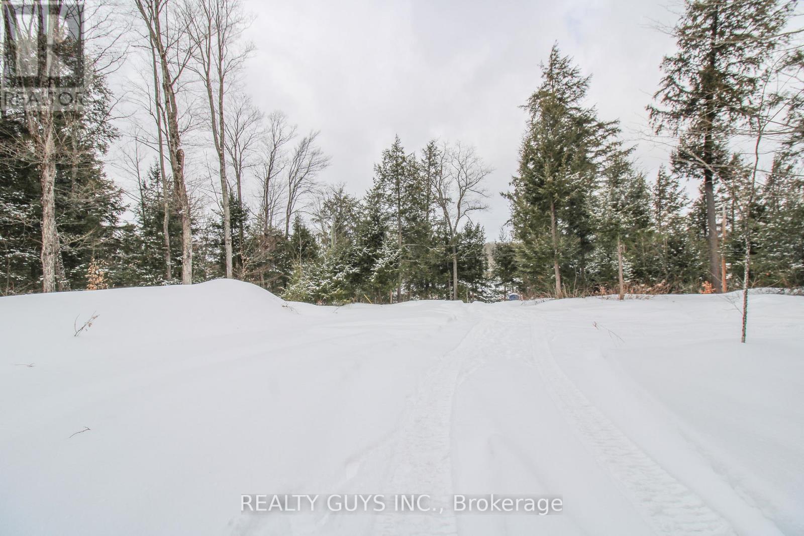 959 Beaver Lake Road, Trent Lakes, Ontario  K0L 1J0 - Photo 14 - X12010886