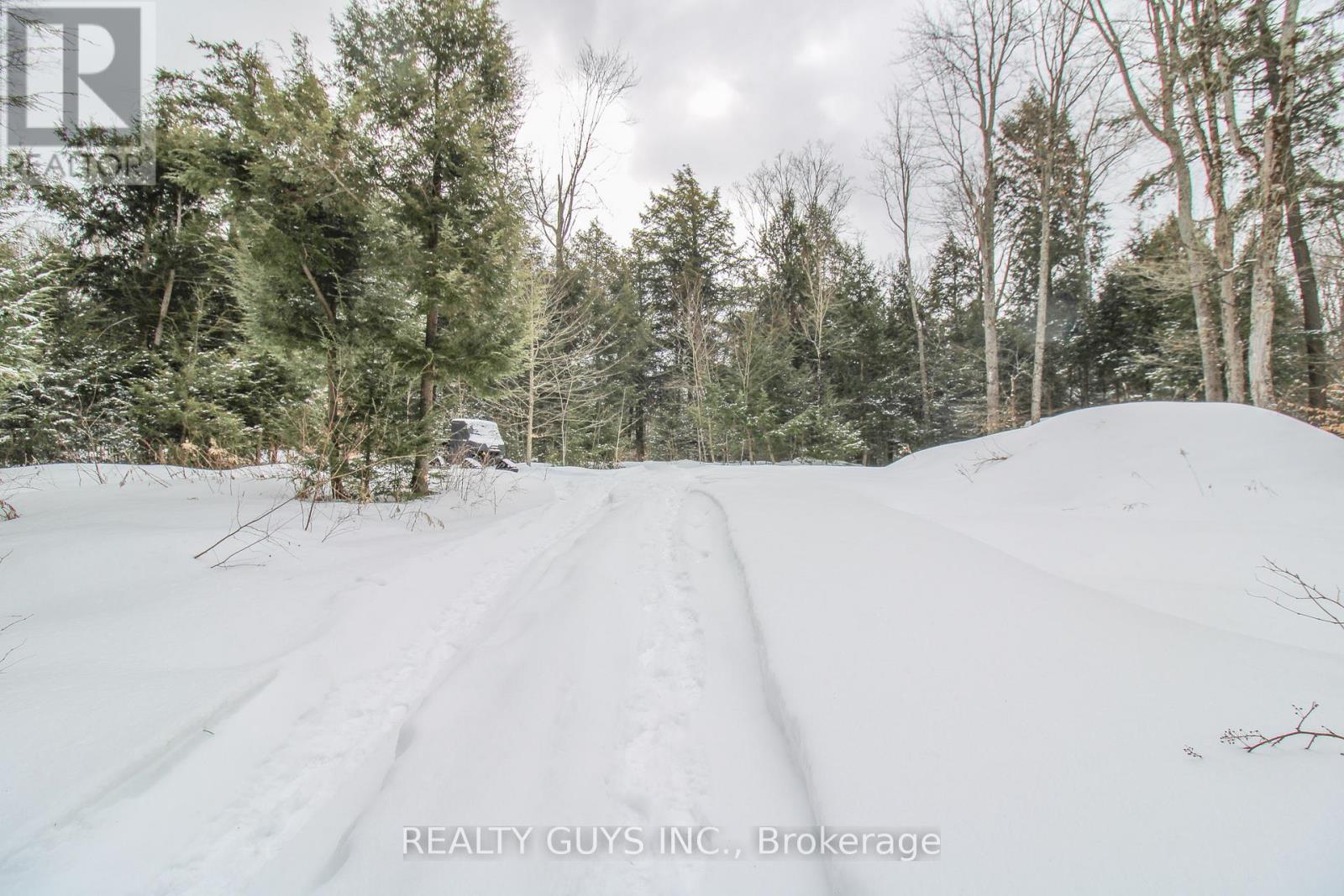 959 Beaver Lake Road, Trent Lakes, Ontario  K0L 1J0 - Photo 16 - X12010886