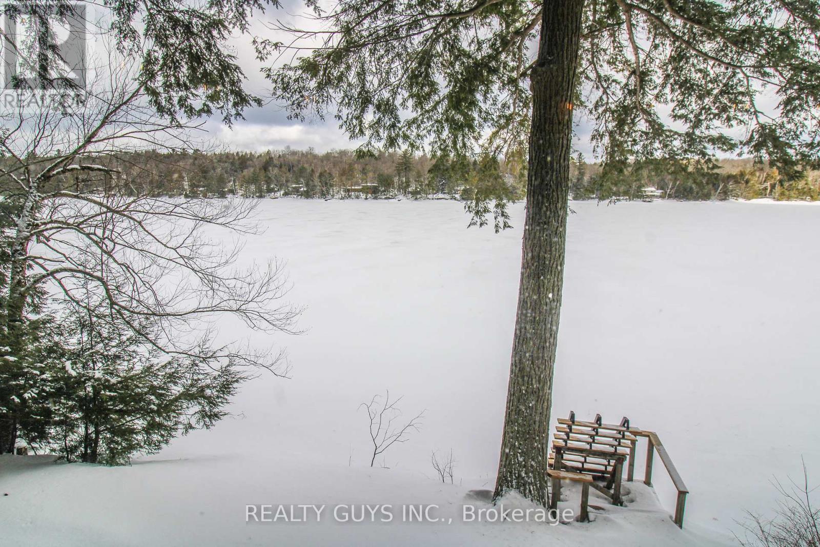 959 Beaver Lake Road, Trent Lakes, Ontario  K0L 1J0 - Photo 6 - X12010886