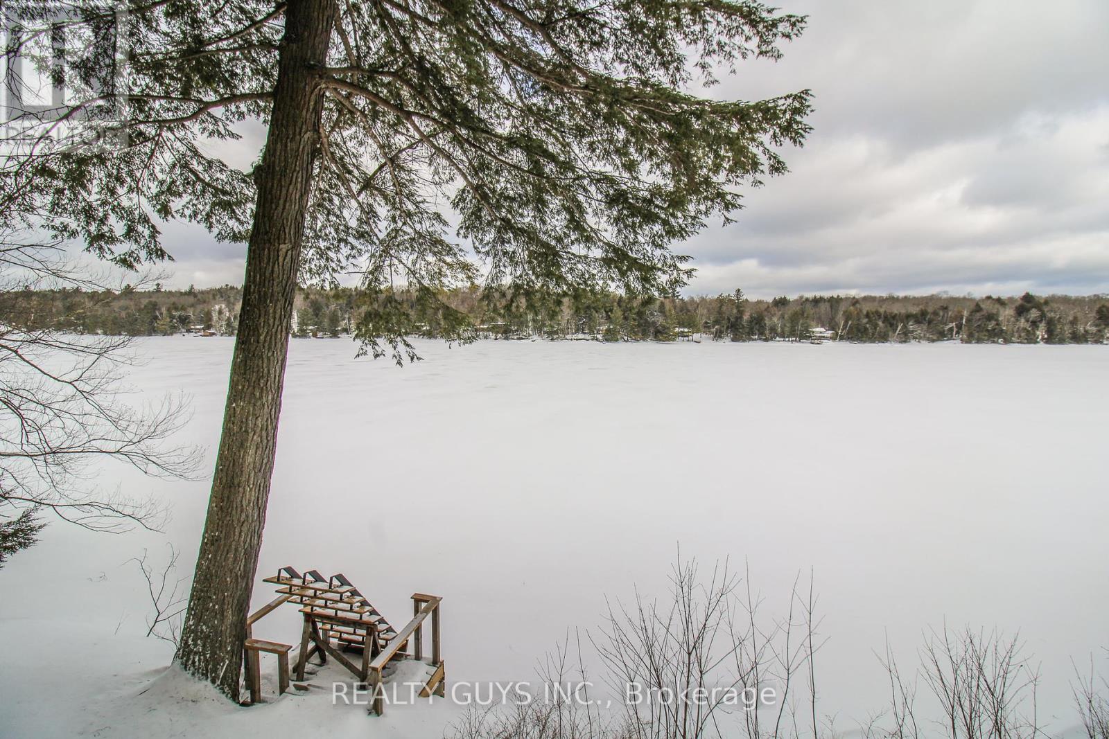 959 Beaver Lake Road, Trent Lakes, Ontario  K0L 1J0 - Photo 7 - X12010886