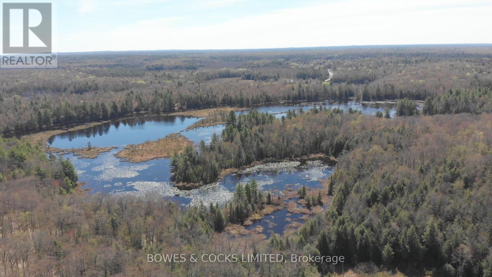 0 Renwick Road, North Kawartha, Ontario  K0L 1A0 - Photo 4 - X12012500