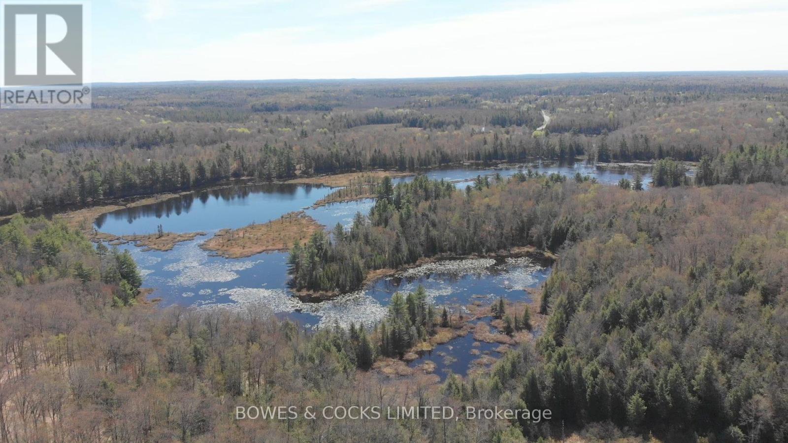 0 Renwick Road, North Kawartha, Ontario  K0L 1A0 - Photo 6 - X12012500