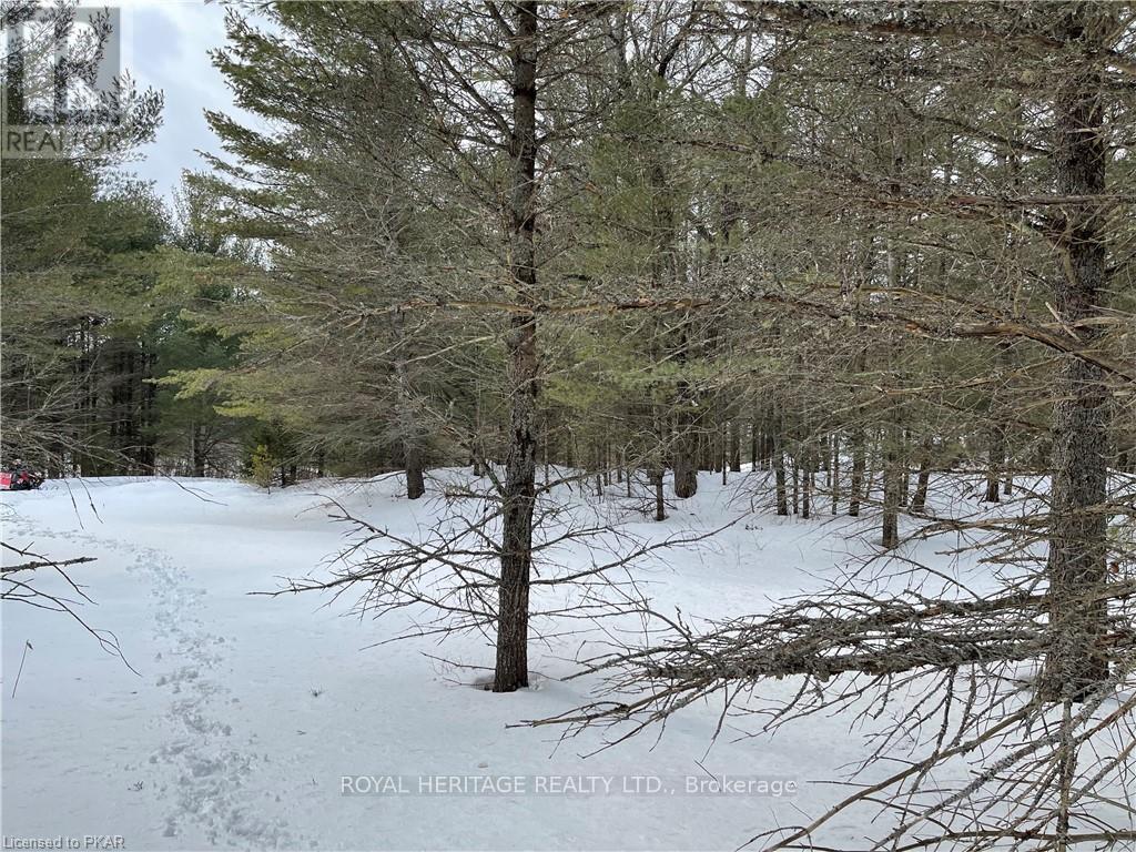 Lot 3 - N/a Hadlington Road, Highlands East (Monmouth), Ontario  K0L 2Y0 - Photo 1 - X12013508