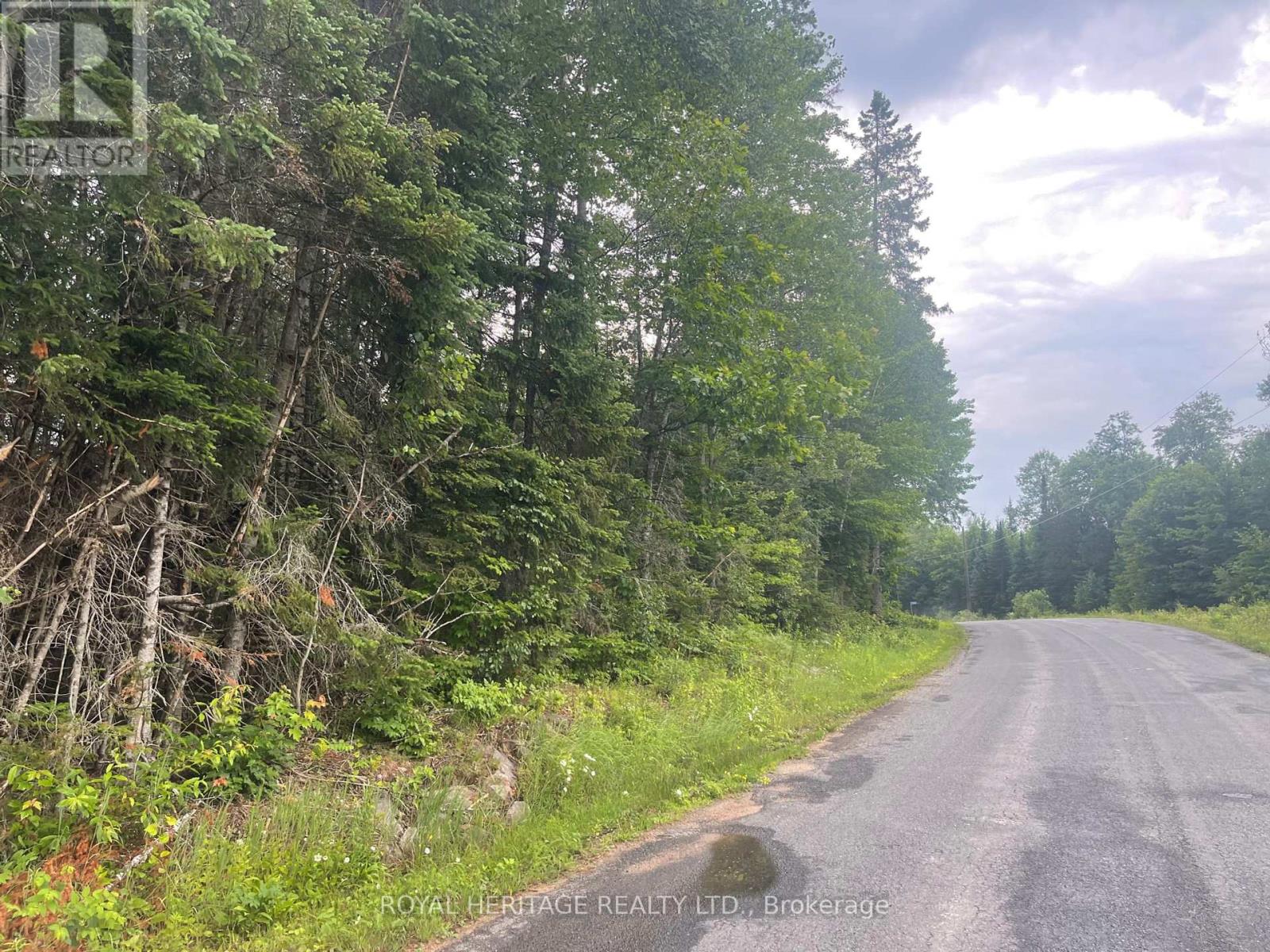 Lot 3 - N/a Hadlington Road, Highlands East (Monmouth), Ontario  K0L 2Y0 - Photo 2 - X12013508