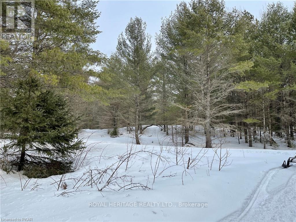 Lot 2 - N/a Hadlington Road, Highlands East (Monmouth), Ontario  K0L 2Y0 - Photo 1 - X12013536